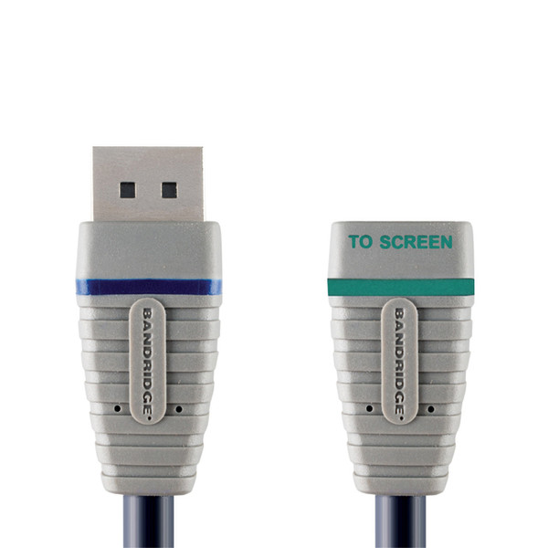 Bandridge 0.2m, DP/HDMI 0.2m DisplayPort HDMI Black video cable adapter