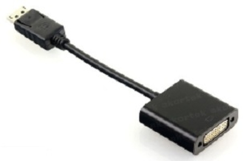 Dark Display Port/DVI-D 0.2m DisplayPort DVI-D Schwarz Videokabel-Adapter