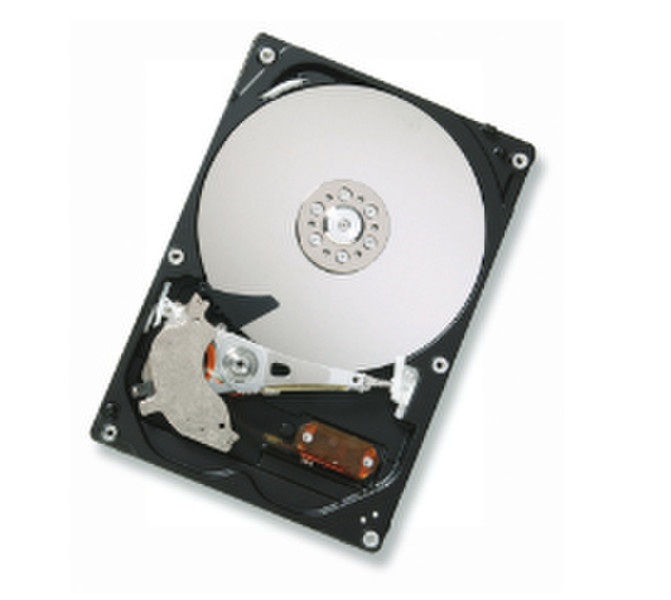 HGST Deskstar P7K500 500GB 500GB Parallel ATA Interne Festplatte