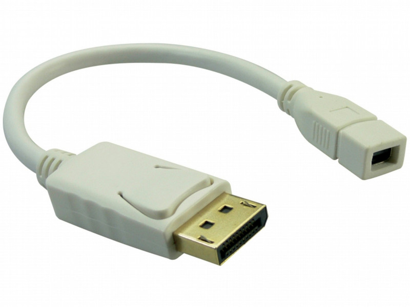 Sandberg Adapter Mini DP-DisplayPort Videokabel-Adapter