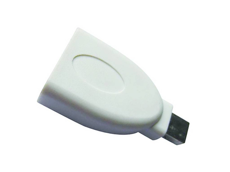 Sandberg Adapter DisplayPort-Mini DP video cable adapter