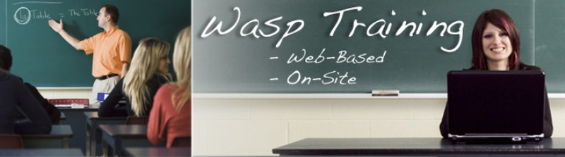 Wasp 2-Hr Training Service via Web