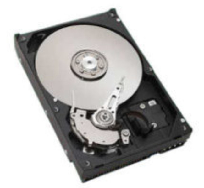 Seagate Desktop HDD 300GB HDD 300GB Ultra-ATA/100 internal hard drive