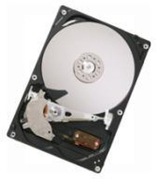 HGST CinemaStar P7K500 160GB 160GB Serial ATA II