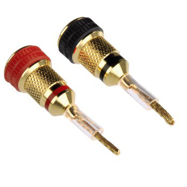 Avinity 107585 Banana Black,Gold,Red wire connector