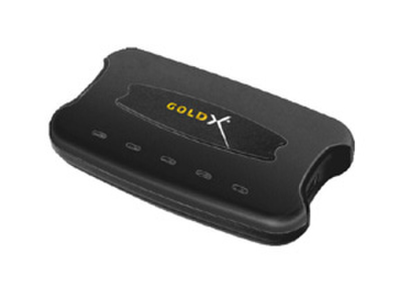 GoldX 4x USB 2.0 480Mbit/s Schwarz