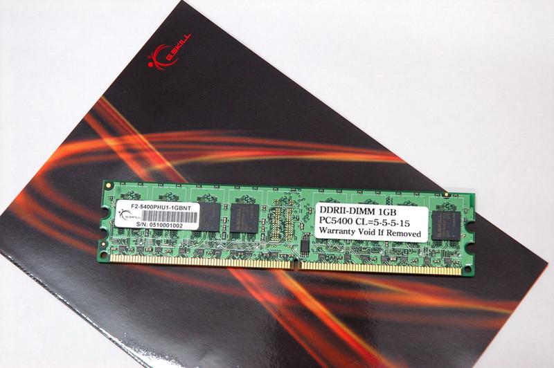 G.Skill 1GB (2x512MB) PC2-5400 1GB DDR2 667MHz memory module