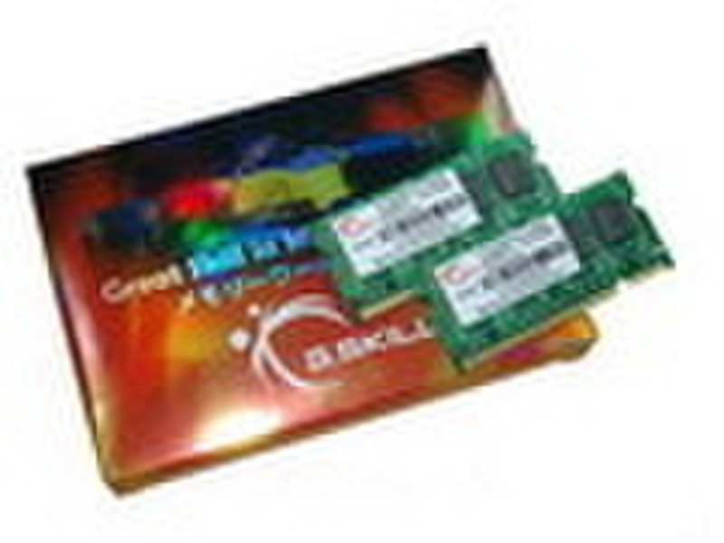 G.Skill 4GB (2x2048MB) PC2-5300 4GB DDR2 667MHz memory module