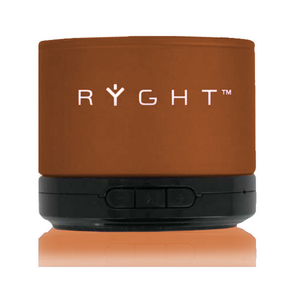 Ryght Y-Storm