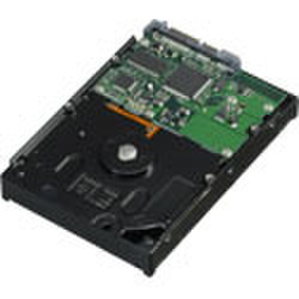 Apple 1TB SATA 7200rpm 1000ГБ SATA внутренний жесткий диск