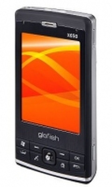E-TEN Glofiish X650 WWE 2.8Zoll 640 x 480Pixel 136g Handheld Mobile Computer