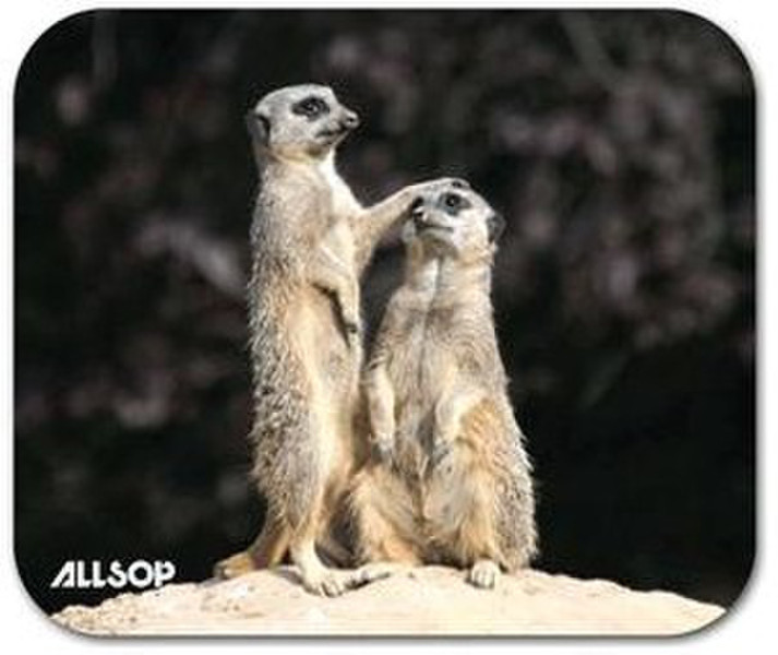 Allsop Meerkat Разноцветный