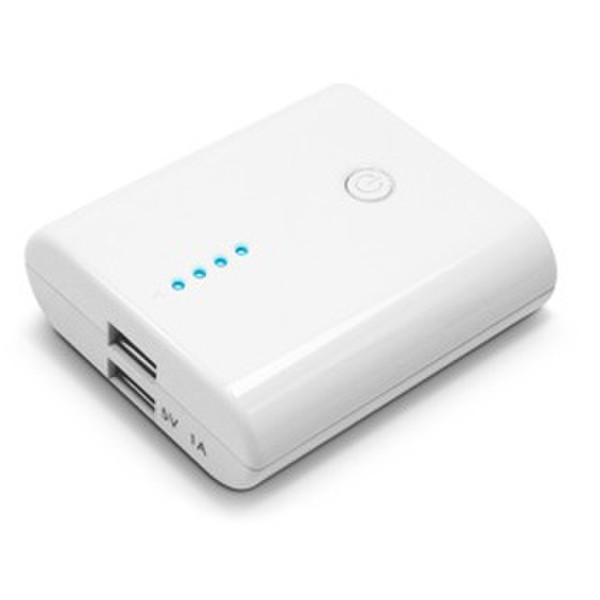 Fantec RBP-52H Lithium-Ion 5200mAh 5.5V rechargeable battery