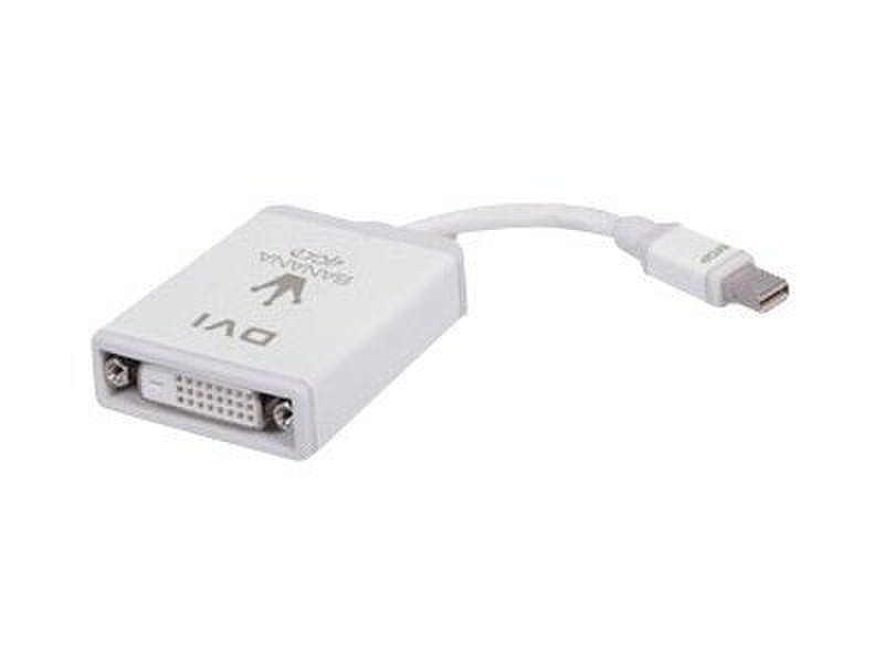 BananaGold Mini Display Port/DVI 0.25m mini DisplayPort DVI-D Weiß Videokabel-Adapter