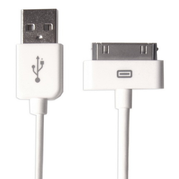 GloboComm G2CABIPHONEUSB 1.2m USB A White mobile phone cable
