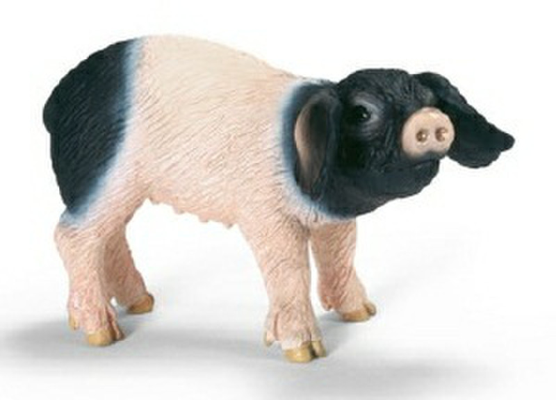 Schleich Swabian Hall Piglet Разноцветный детская фигурка