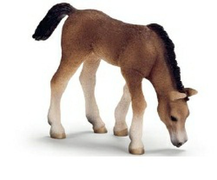 Schleich Arabian Foal Grazing Разноцветный детская фигурка