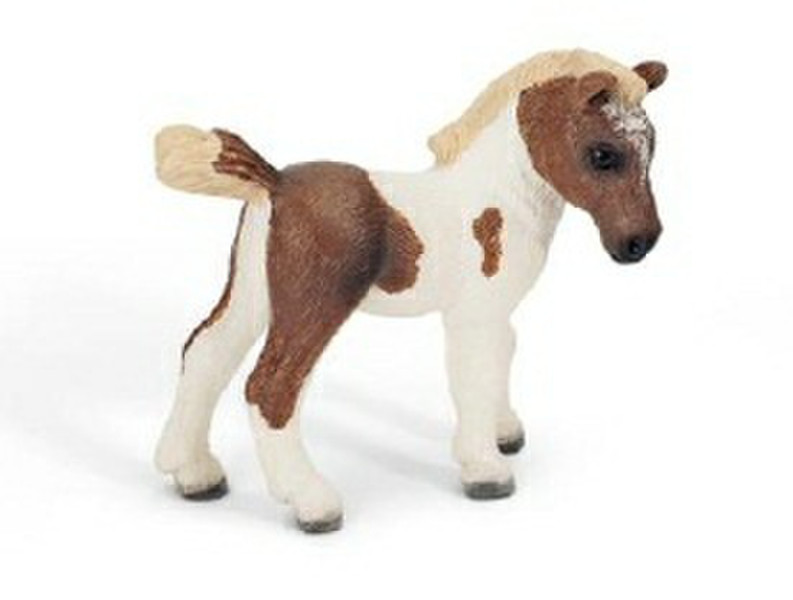 Schleich Falabella Foal Разноцветный детская фигурка