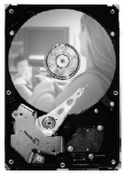 Seagate DB35 Series 7200.3 250GB SATA 3Gb/s 20pk 250GB Serial ATA II internal hard drive