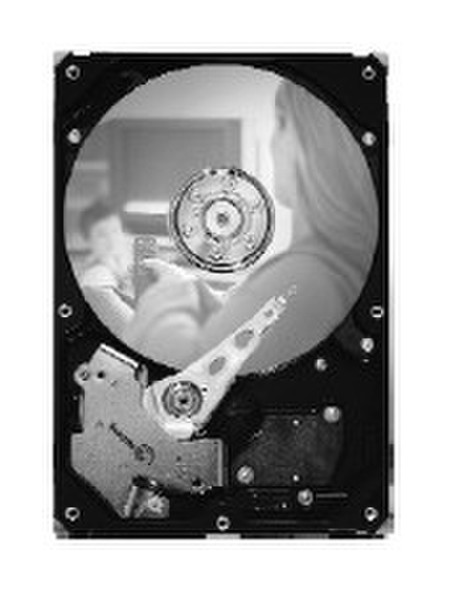 Seagate SV35 Series 250 GB SATA 3Gb/s 20pk 250ГБ Serial ATA II внутренний жесткий диск