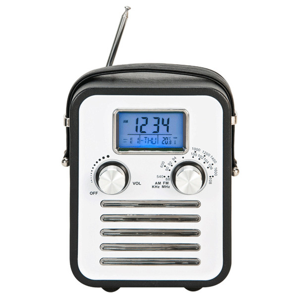 Bestsound R981 radio receiver