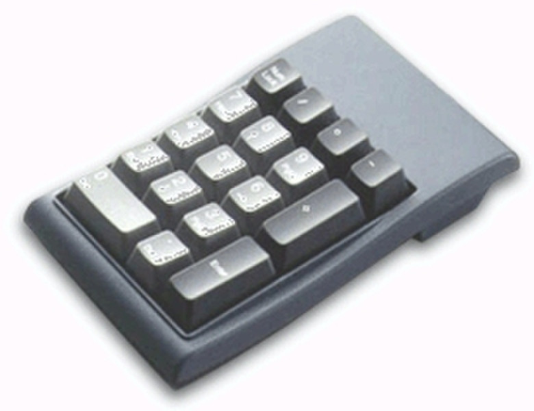 Chicony Numeric Keypad PS/2 PS/2 Tastatur