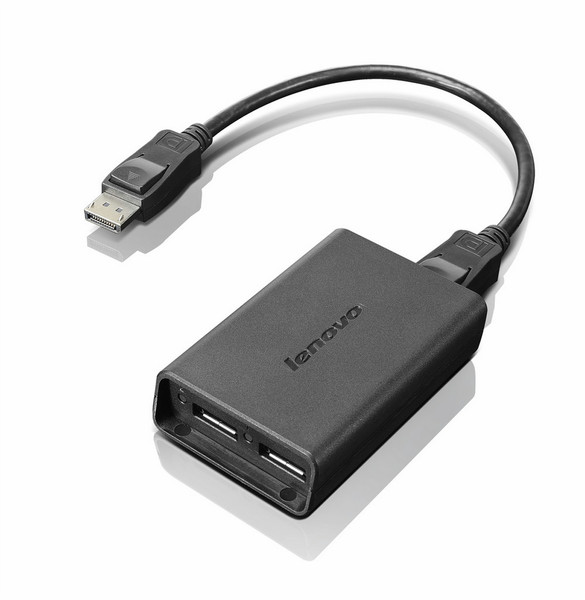 Lenovo DisplayPort to Dual-DisplayPort Monitor Cable USB A USB A Black USB cable