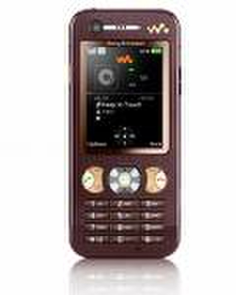 Sony GSM Phone W890I 78г Коричневый