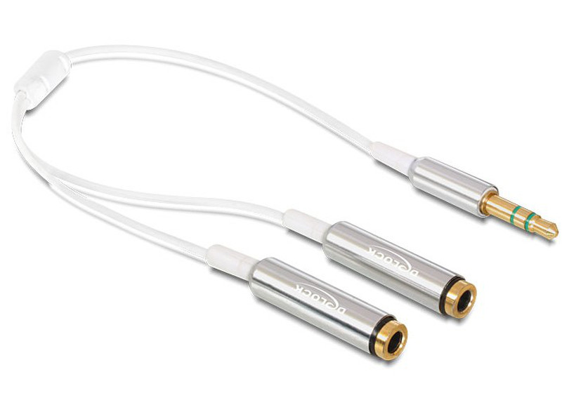 DeLOCK 65355 0.25м 3,5 мм 2 x 3,5 мм Cеребряный, Белый аудио кабель