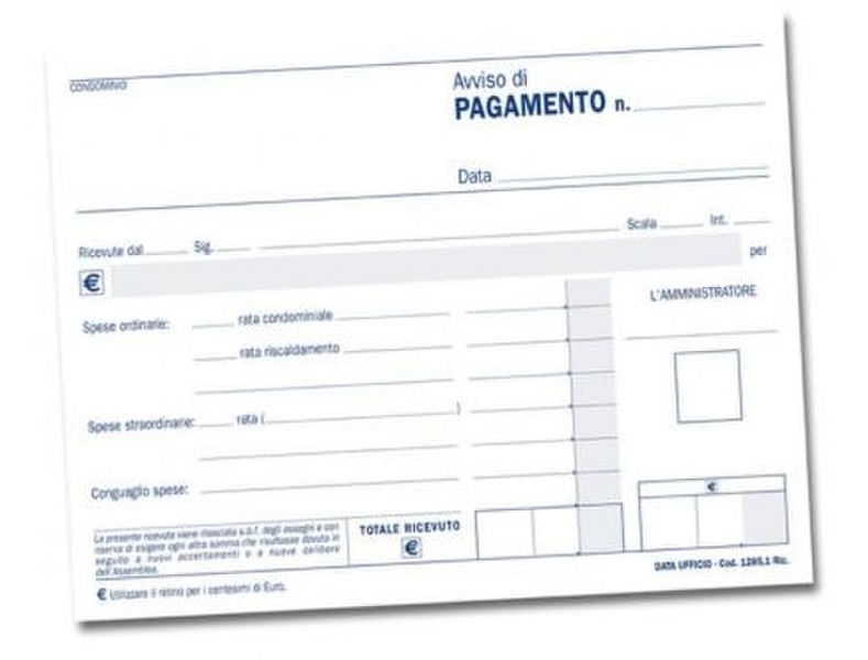 Data Ufficio 161383300 accounting form/book