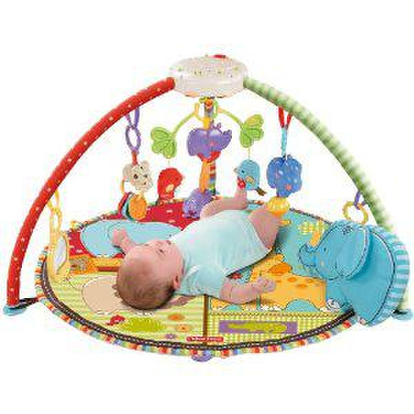 Fisher Price Everything Baby Carpet Zoo Deluxe
