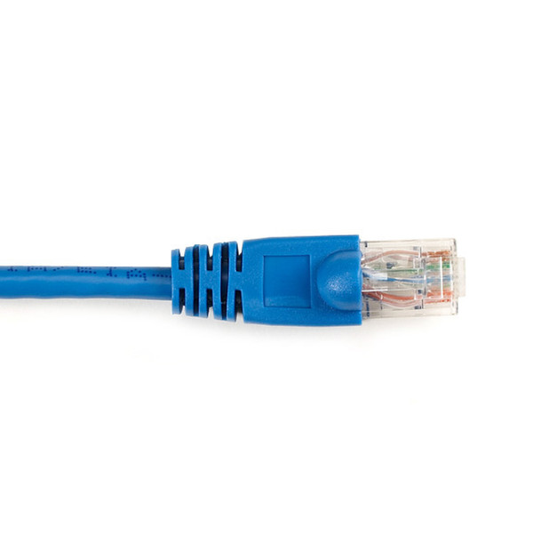 Black Box CAT6 Patch Cable, 0.9m 0.9m Blue networking cable