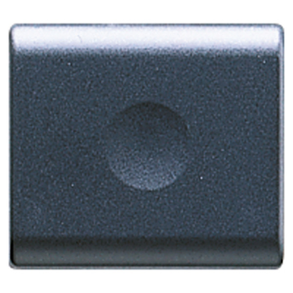 Gewiss GW30071 Black push-button panel