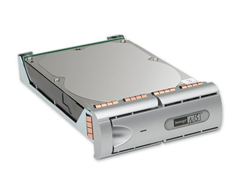 Iomega NAS 400R 400GB H-Swap Drive 400GB Interne Festplatte