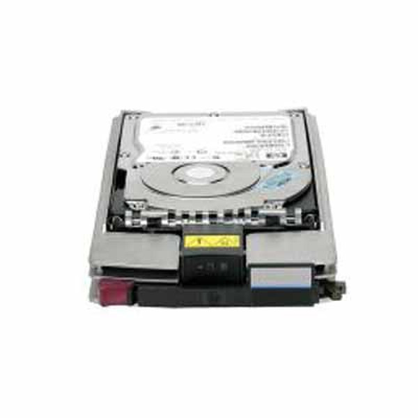 HP StorageWorks EVA 300GB 15K FC Add on HDD 300GB Fiberkanal