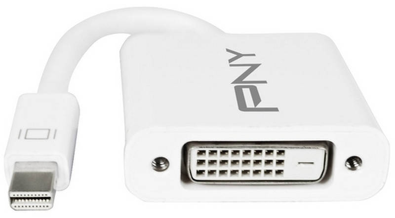 PNY Mini DisplayPort - DVI-D