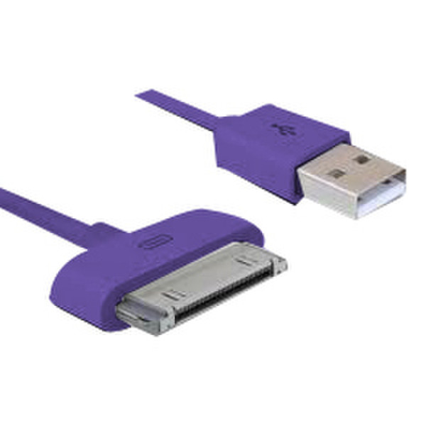 Phoenix Technologies 1.5m USB/Apple