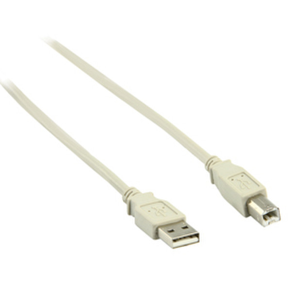 Valueline 5m USB 2.0, M/M 5м USB A USB B