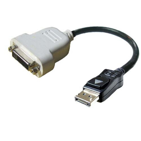 DELL DisplayPort / DVI-D