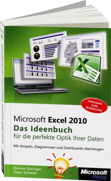 Microsoft Excel 2010 - Das Ideenbuch für die perfekte Optik Ihrer Daten