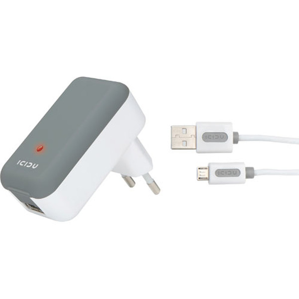 ICIDU USB AC Charger 2.1A Для помещений