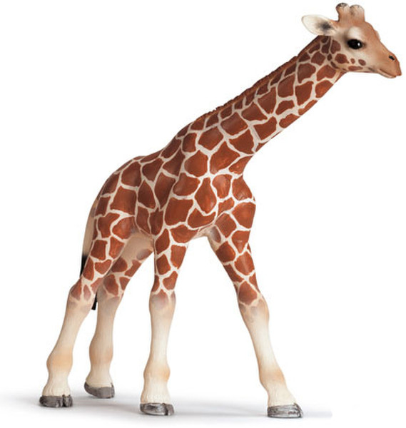 Schleich Giraffe Calf Бежевый, Коричневый детская фигурка