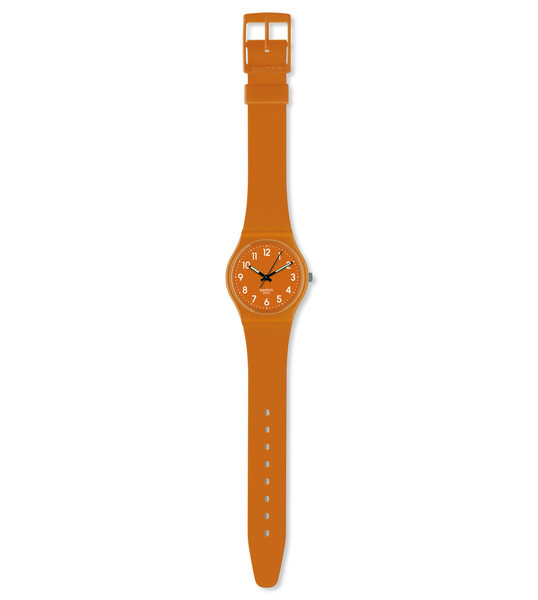 Swatch Sand Hill