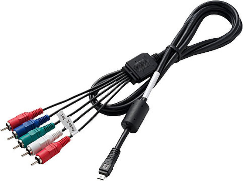 Panasonic DMW-HDC2E 2m 5 x RCA Black video cable adapter