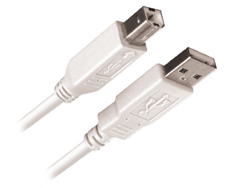 APM 5.0m USB 2.0 A-B M/M 5м USB A USB B Белый