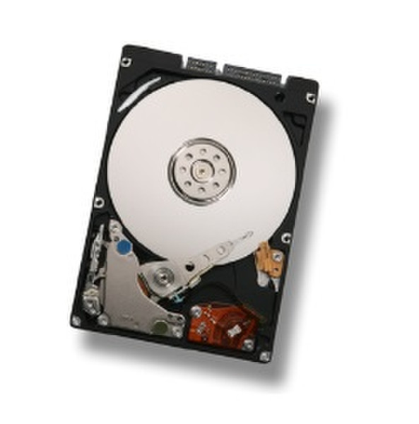 Hitachi Travelstar 5K250 160GB 160GB Serial ATA II internal hard drive