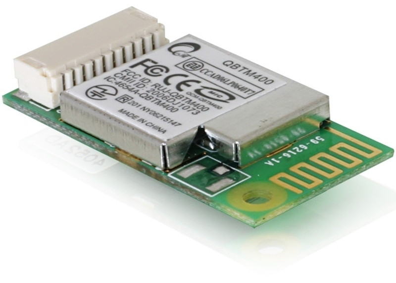 DeLOCK USB Bluetooth 2.0+EDR Module 3Mbit/s networking card