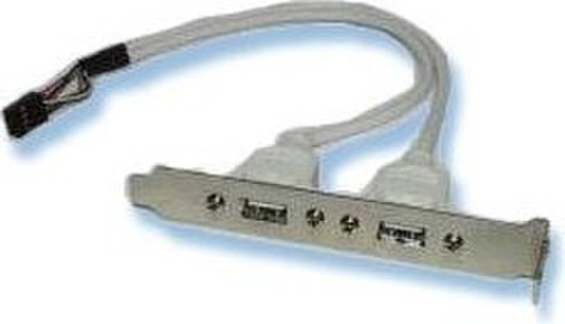 ROLINE USB 2.0 Slotblende 2 Ports 0.3м Белый кабель USB