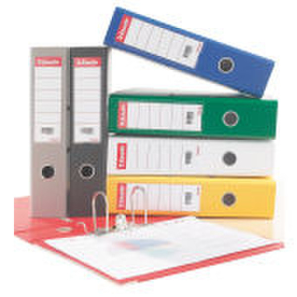 Esselte Standard Lever Arch Files Transparent folder