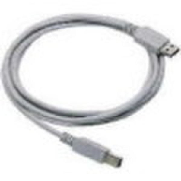 Datalogic Straight Cable - Type A USB 2m USB cable